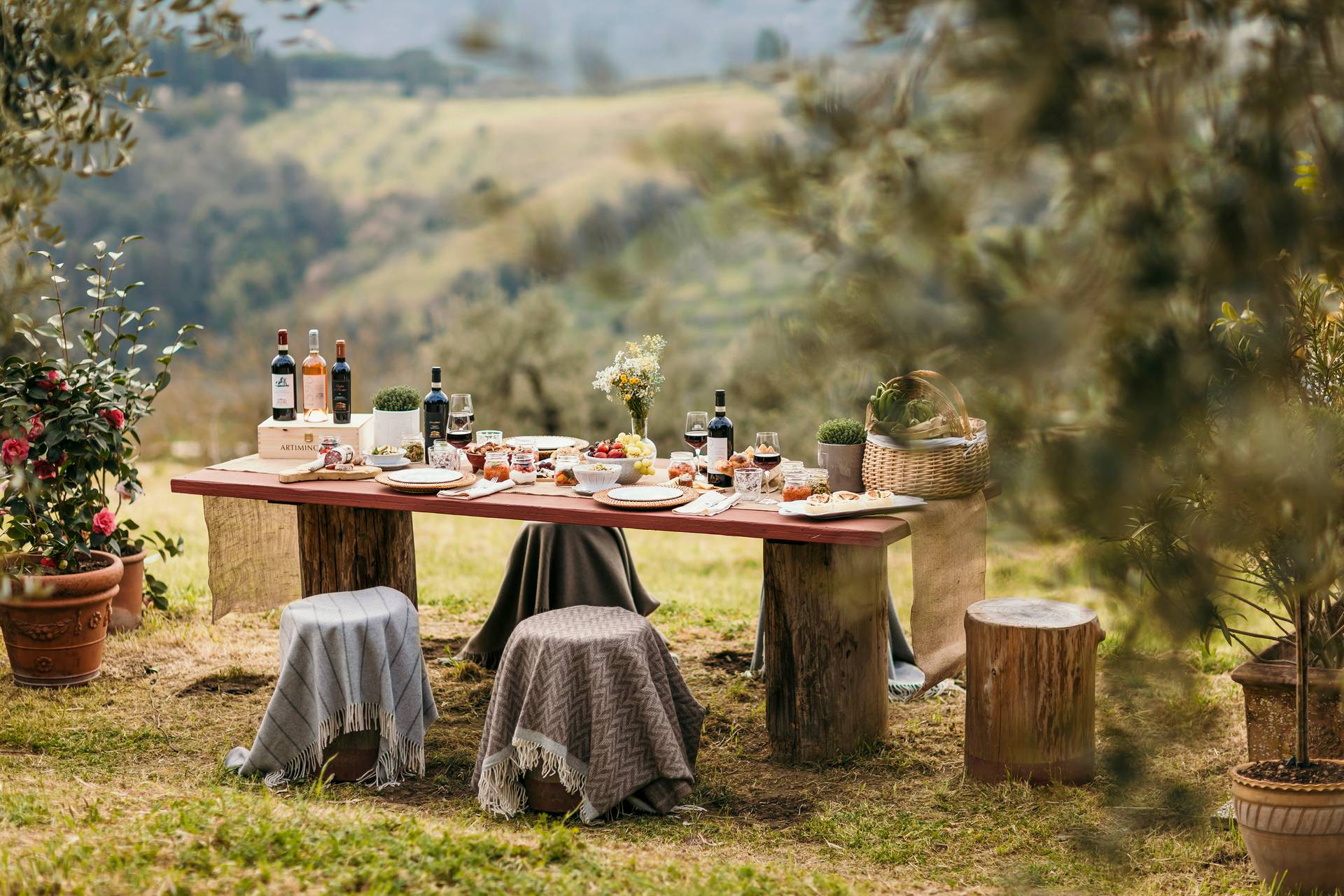 PIC NIC GOURMET